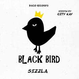Think Wise (Blackbird Riddim by City Kay)